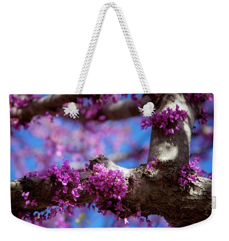 Oklahoma Weekender Tote Bag featuring the photograph Spring in Oklahoma by Toni Hopper