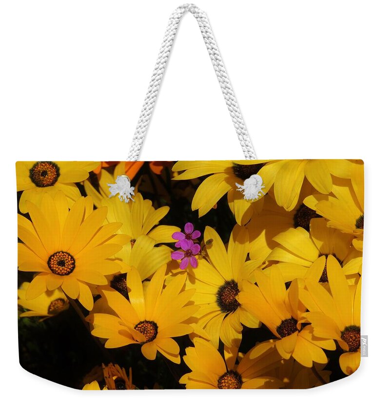 African Daisies Weekender Tote Bag featuring the photograph Spring in the neighborhood by Helen Carson