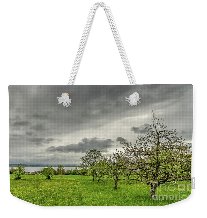 Lake-constance Weekender Tote Bag featuring the photograph Spring on Lake Constance by Bernd Laeschke