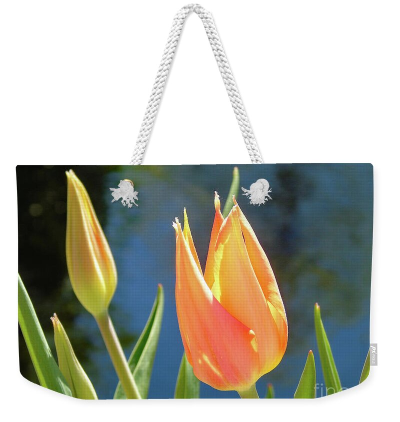 Flower Weekender Tote Bag featuring the photograph Spring Tulip by Susan Lafleur