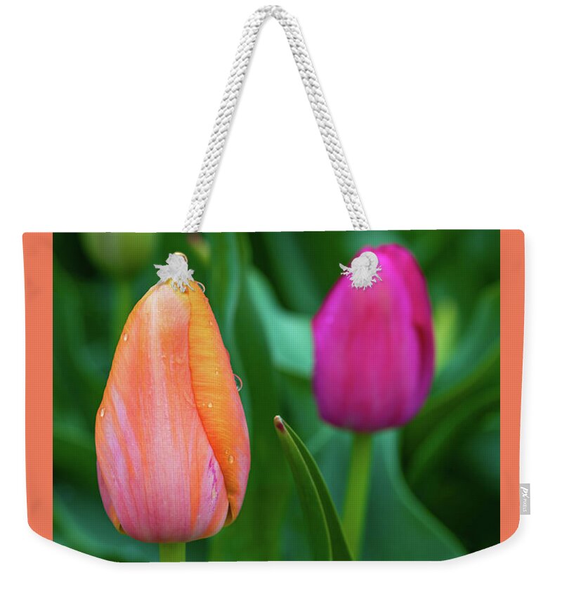 Tulips Weekender Tote Bag featuring the photograph Spring Tulips by Jack Clutter