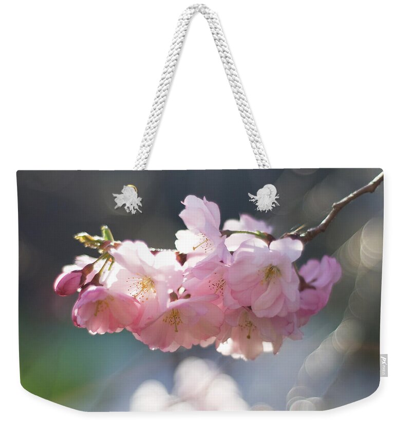 Baden-baden Weekender Tote Bag featuring the photograph Springtime by Hgviola