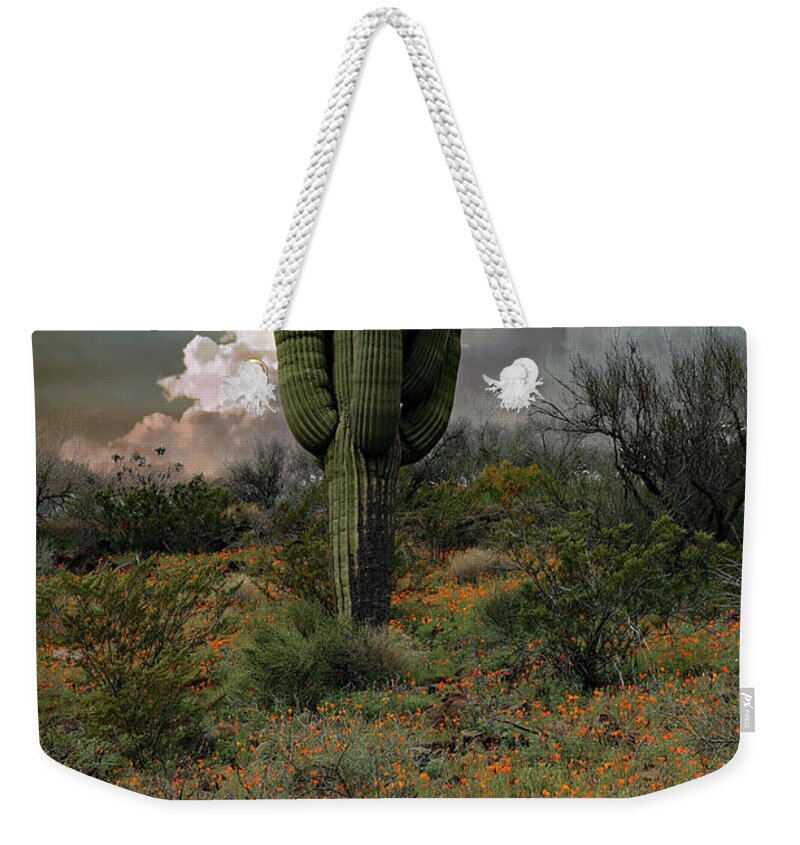 Cactus Weekender Tote Bag featuring the photograph Springtime Saguaro by Hans Brakob