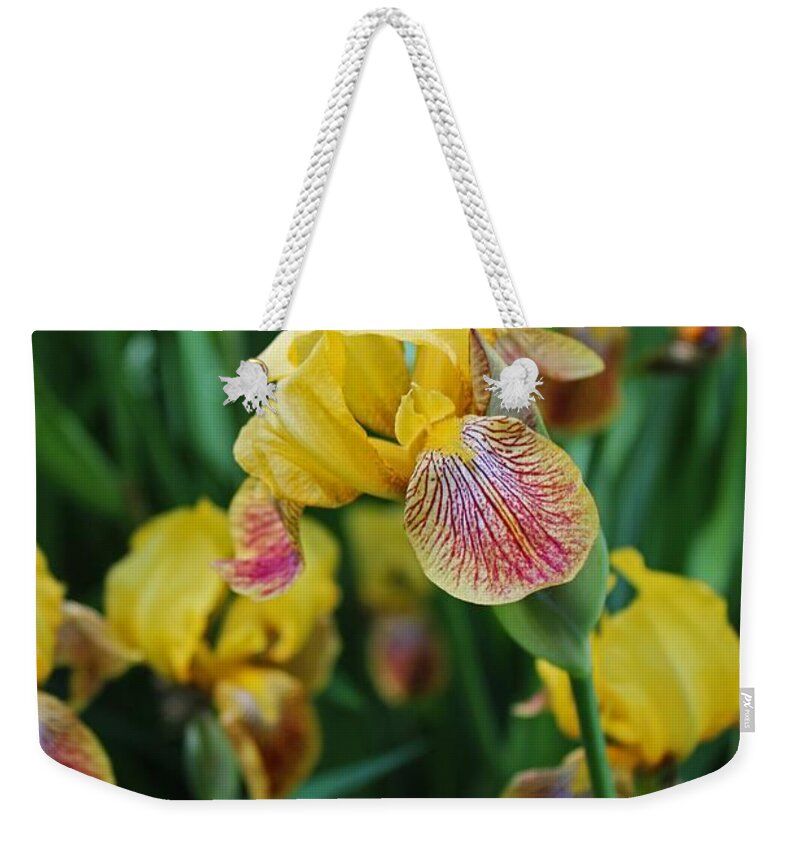 Iris Weekender Tote Bag featuring the photograph Springtime Sway by Michiale Schneider