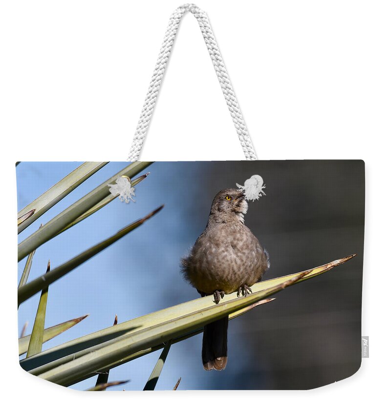 Thrasher Weekender Tote Bag featuring the photograph Squawker by Sonja Jones