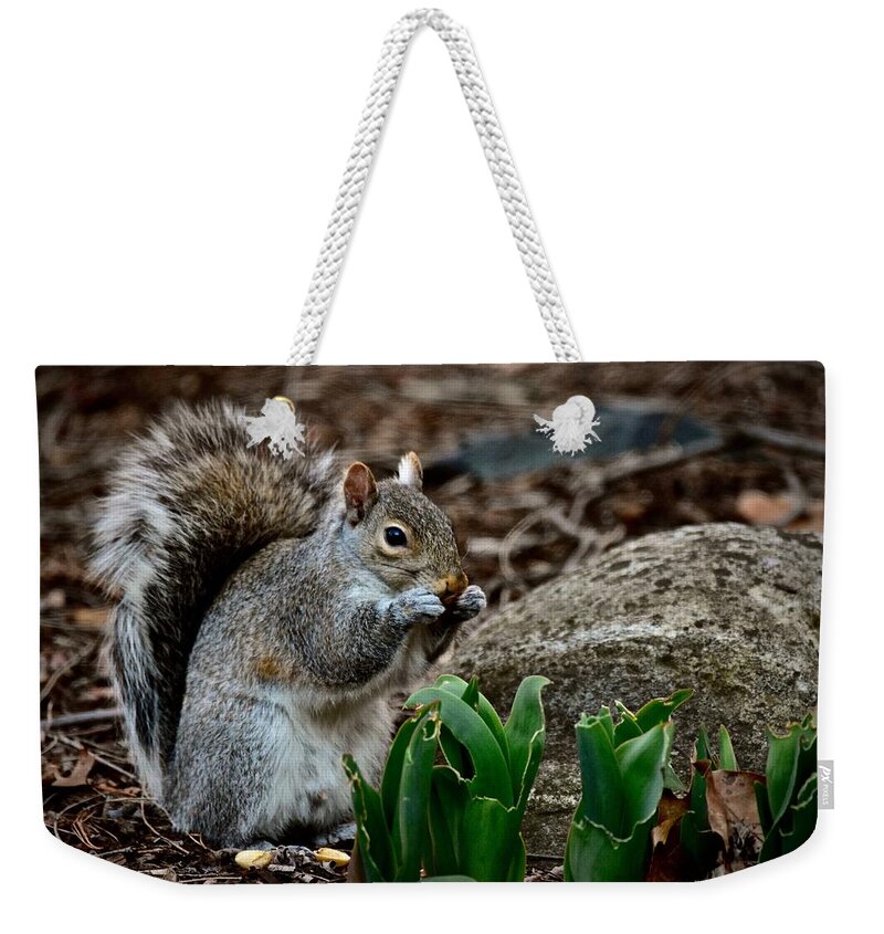 Photography Weekender Tote Bag featuring the photograph Squirrel And His Dinner by Jeffrey PERKINS