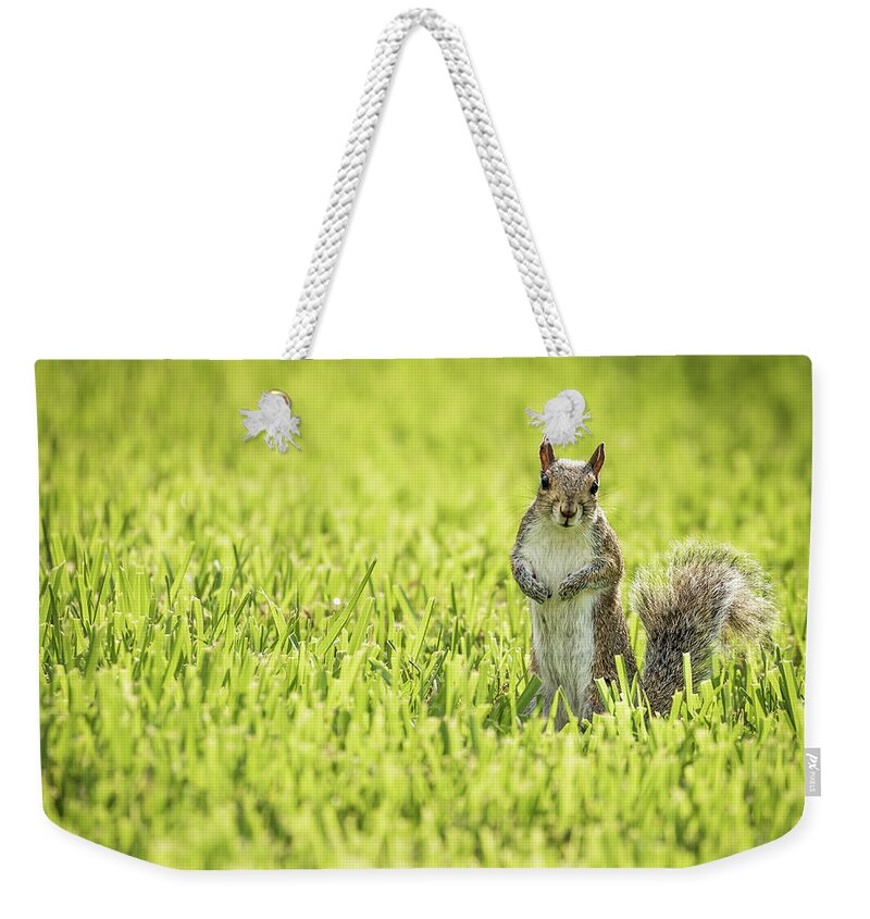 Myeress Weekender Tote Bag featuring the photograph Squirrel in Field by Joe Myeress
