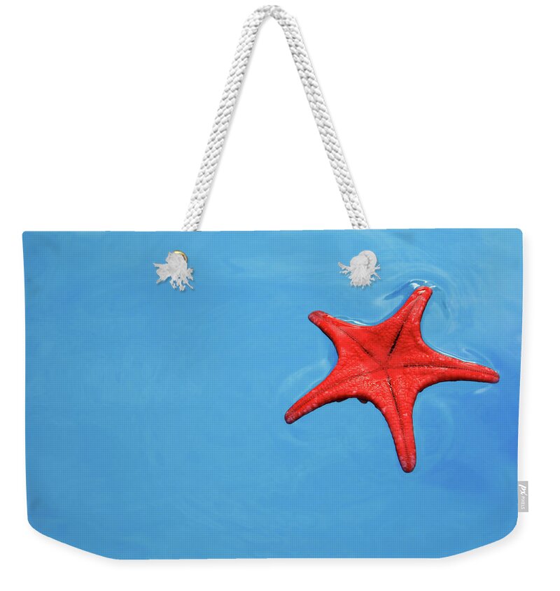 Diving Into Water Weekender Tote Bag featuring the photograph Starfish by Polarica