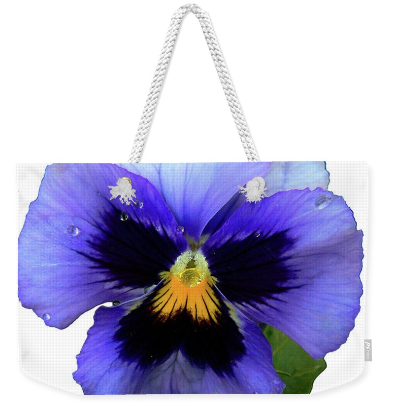 Blue Weekender Tote Bag featuring the photograph Statuesque by Doug Norkum