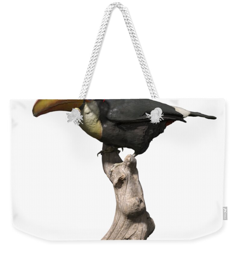 Tucan Weekender Tote Bag featuring the digital art Stay Cool Toucan PNG by Betsy Knapp