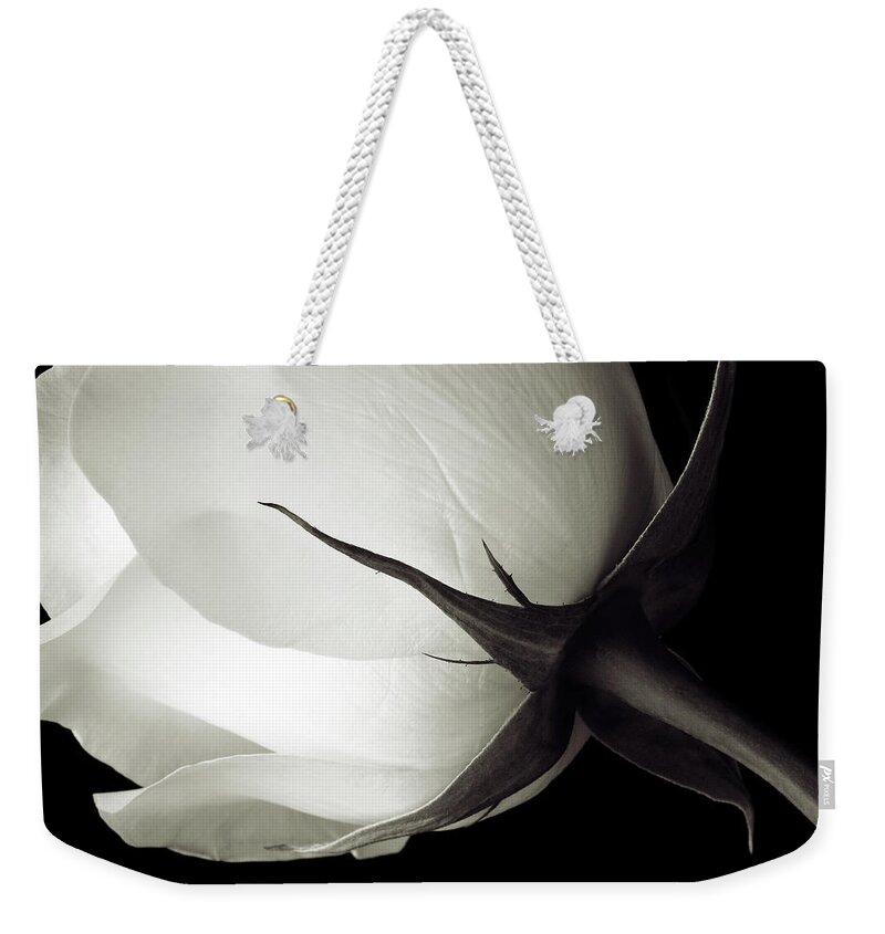 Michigan Weekender Tote Bag featuring the photograph Stem And Petals Of A White Rose by Kim Kozlowski Photography, Llc