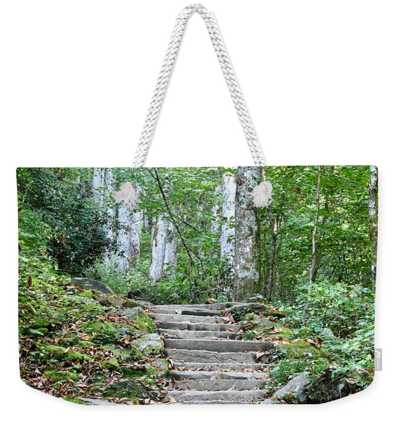 Tennessee Weekender Tote Bag featuring the photograph Steps Up Into The Forest 1 by Phil Perkins