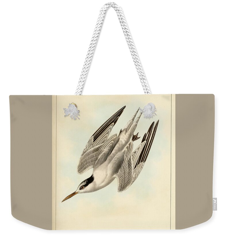 Birds Weekender Tote Bag featuring the mixed media Sterna Elegans by Bowen and Co lith and col Phila