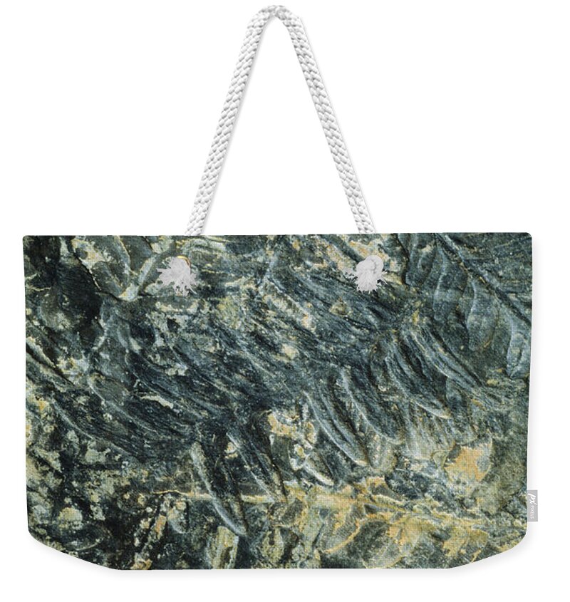 Mineral Weekender Tote Bag featuring the photograph Stone Imprint by David Wasserman
