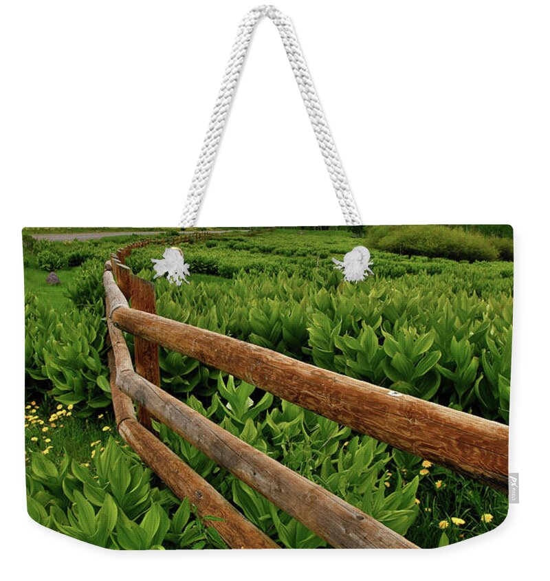 Highway 50 Weekender Tote Bag featuring the photograph Storm Clouds over Big Cimarron Road by Ray Mathis