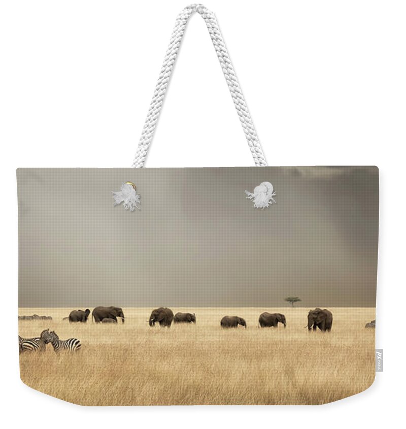 Mara Weekender Tote Bag featuring the photograph Stormy skies over the masai Mara with elephants and zebras by Jane Rix