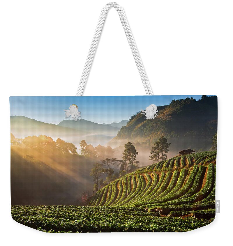 Scenics Weekender Tote Bag featuring the photograph Strawberry Farm by Www.tonnaja.com