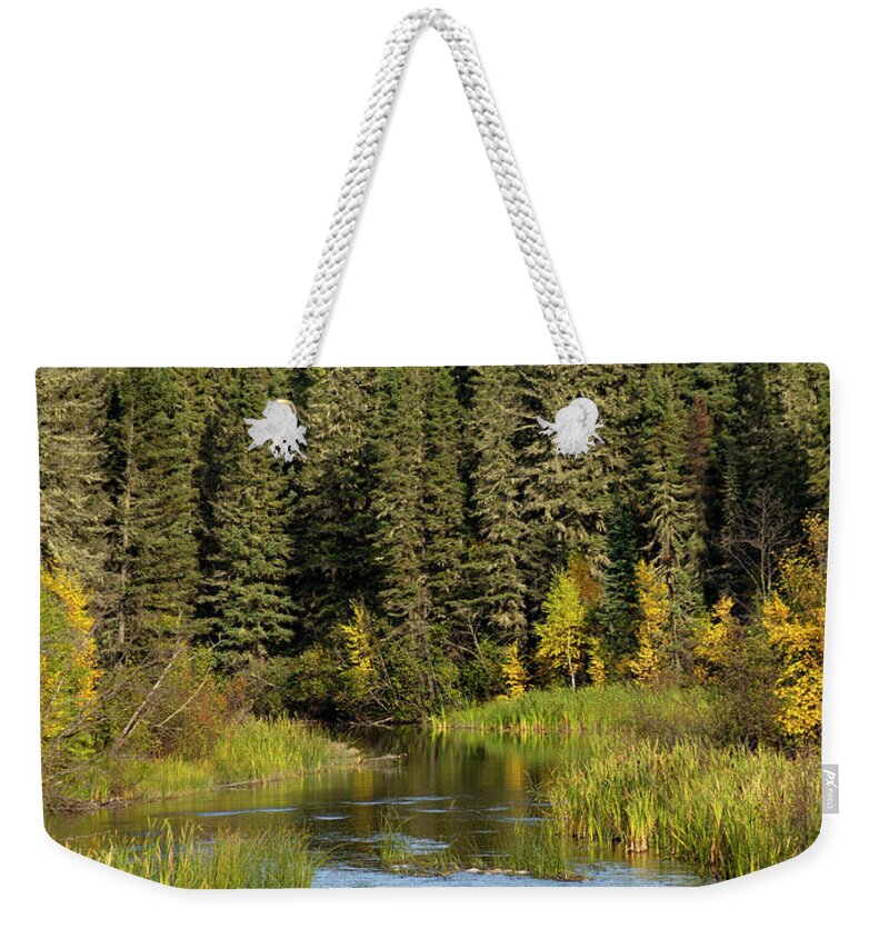 Extreme Terrain Weekender Tote Bag featuring the photograph Stream And Forest by Dougall photography