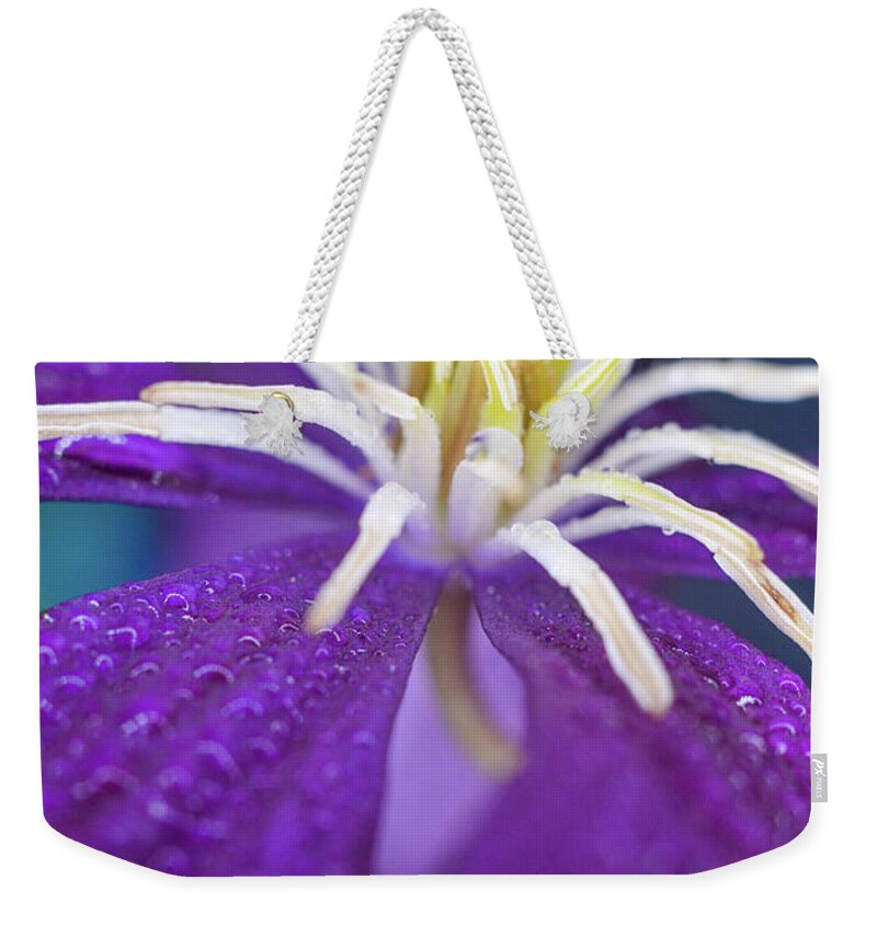 Flower Weekender Tote Bag featuring the photograph Stretch by Michelle Wermuth