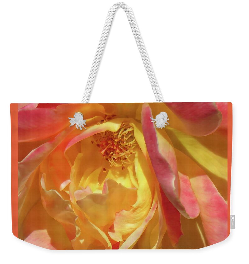 Roses Weekender Tote Bag featuring the photograph Strike It Rich - Rose Super Macro - Floral Photography - Flower Art by Brooks Garten Hauschild