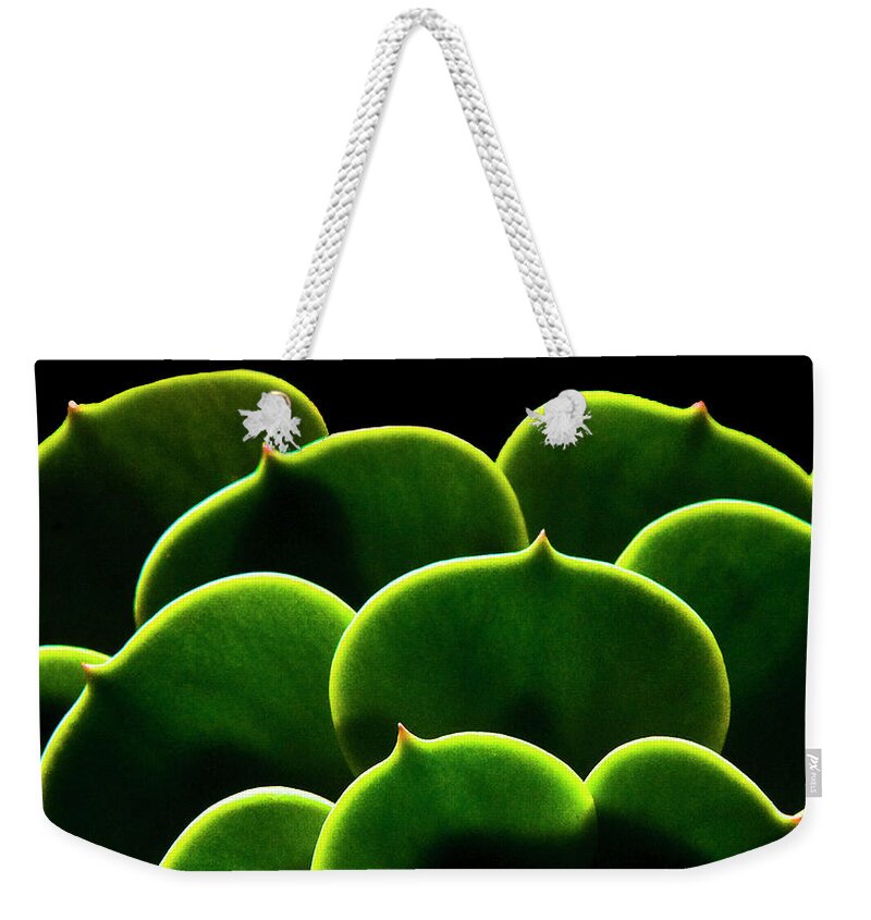 California Weekender Tote Bag featuring the photograph Succulent by Fogline Studio...photos Of Everythhing That Is Beautiful