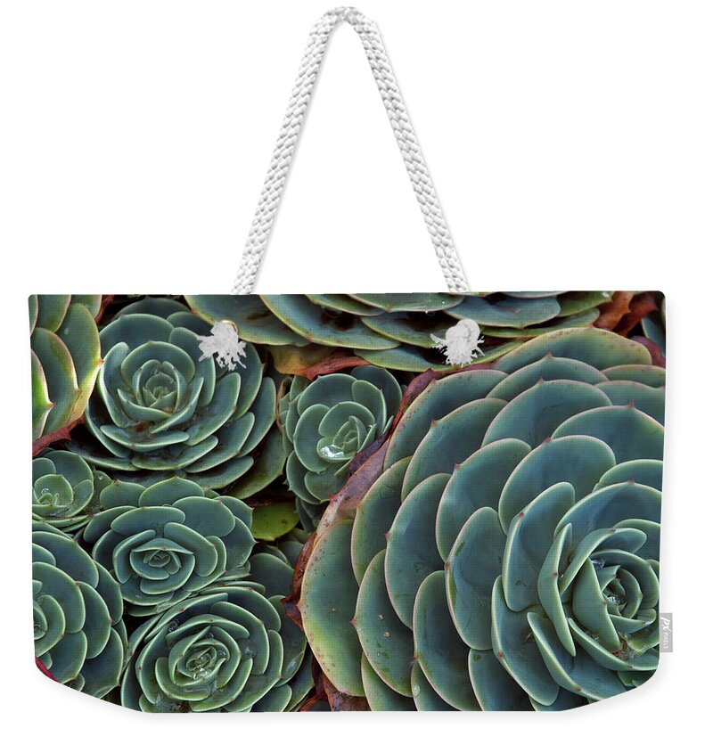Outdoors Weekender Tote Bag featuring the photograph Succulent Pattern by Averyphotography