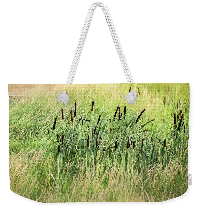 Summer Weekender Tote Bag featuring the photograph Summer Cattails in Field of Grass - by Julie Weber