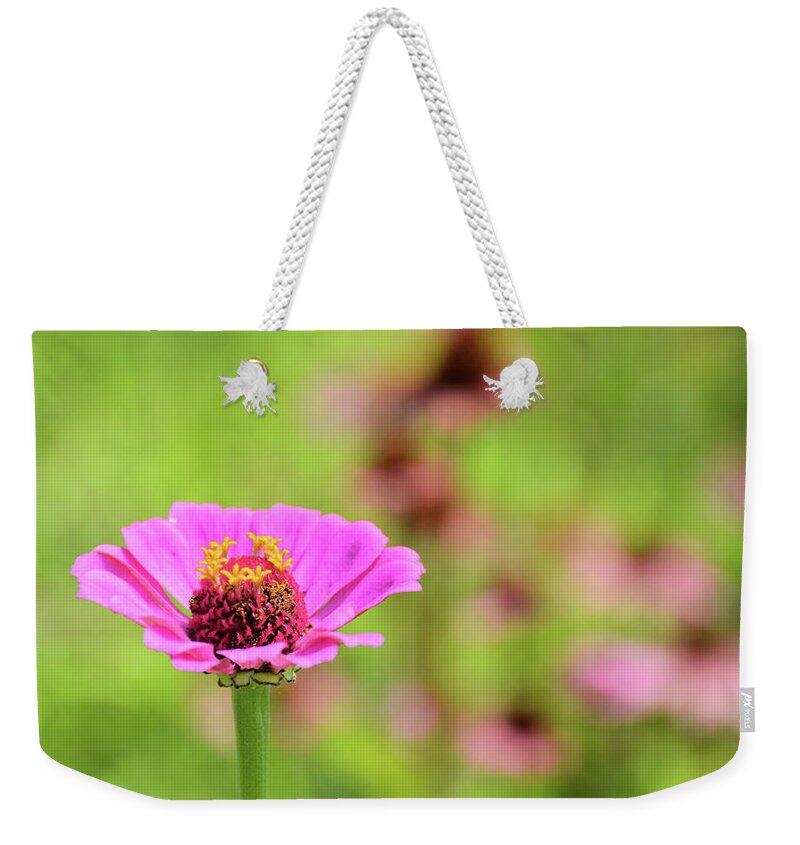 Banks Weekender Tote Bag featuring the photograph Summer Garden by JAMART Photography