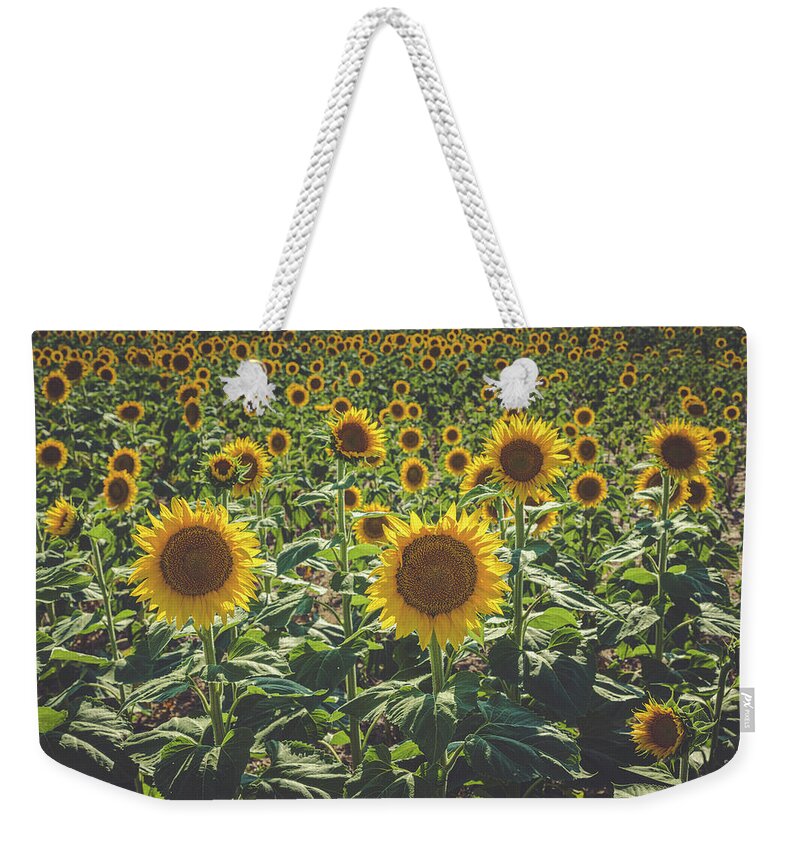 Colorado Weekender Tote Bag featuring the photograph Summer in the Sunflower Fields by Teri Virbickis