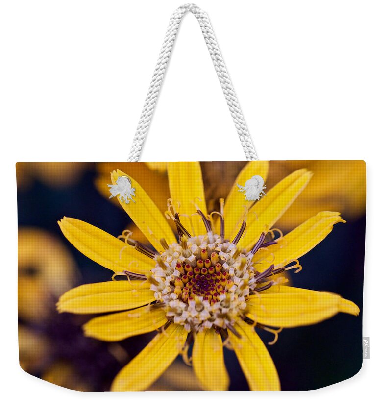 Flower Weekender Tote Bag featuring the photograph Summer Ragweed Closeup by Todd Kreuter