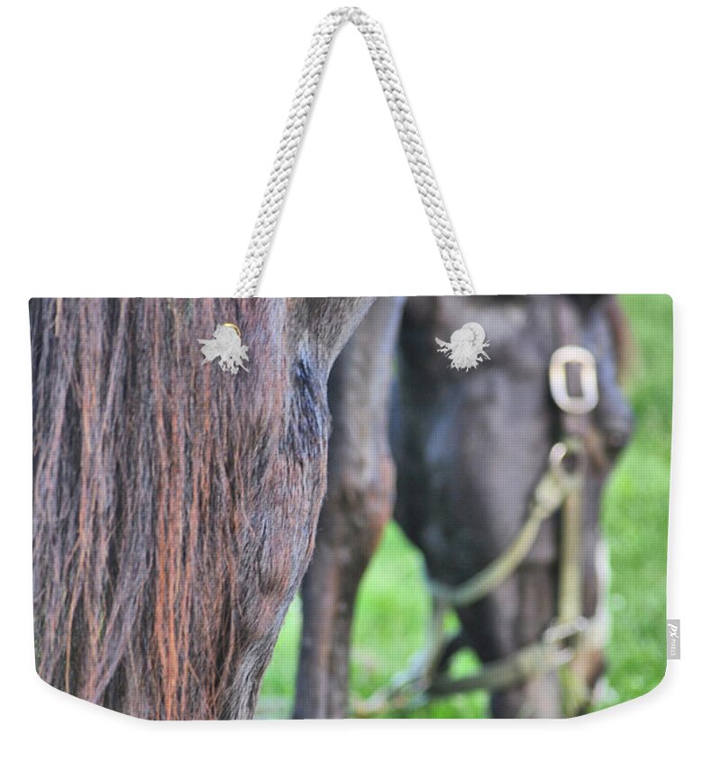 After Weekender Tote Bag featuring the photograph Summer Views by Jamart Photography
