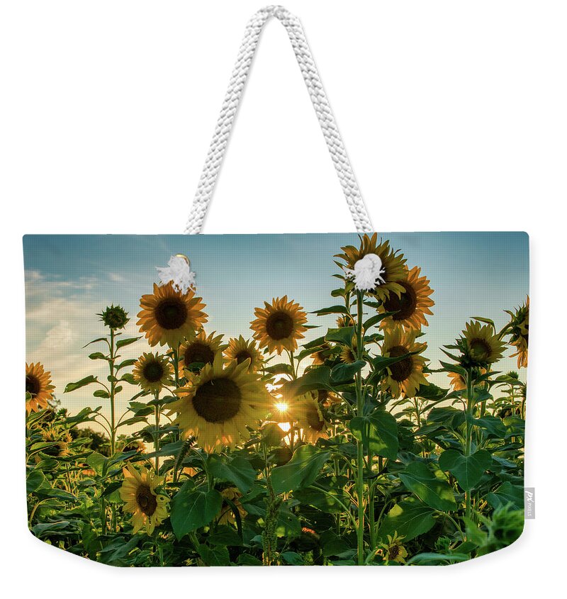 1088 Jesse Place Elmira Weekender Tote Bag featuring the photograph Sun and sunnflowers by Nick Mares