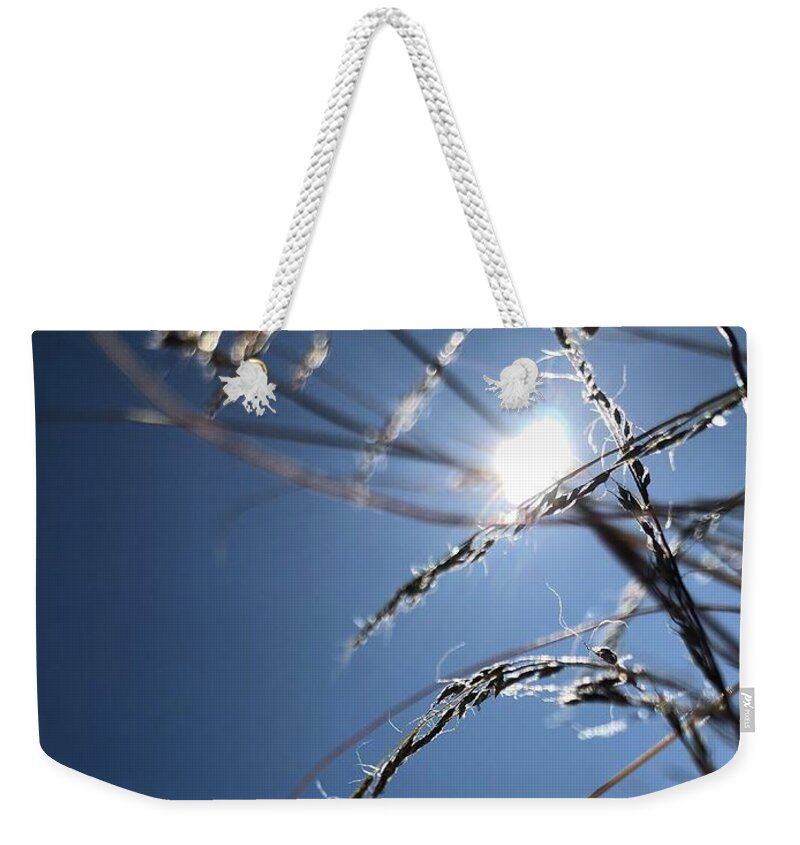 Grass Weekender Tote Bag featuring the photograph Sun Grass Dance by Nadine Rippelmeyer