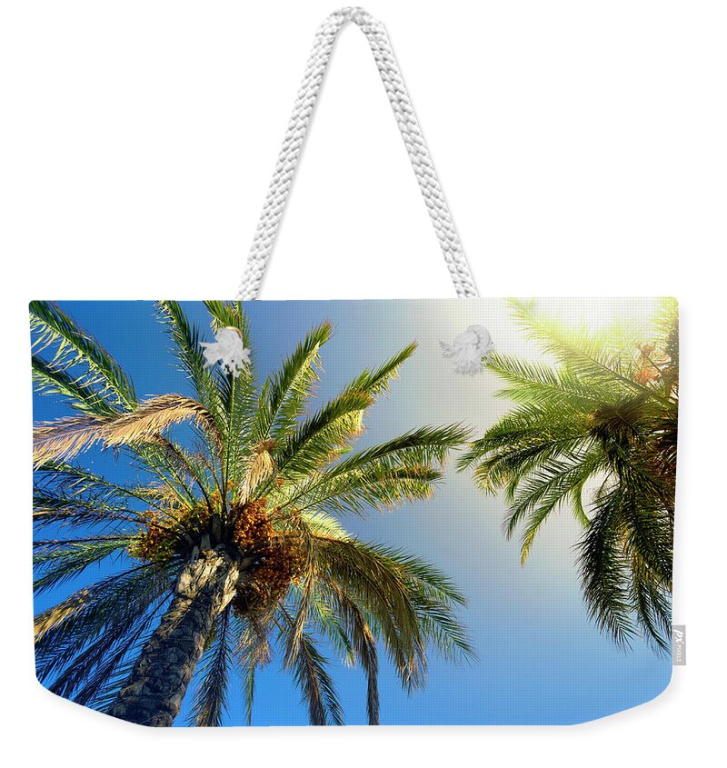 Tropical Tree Weekender Tote Bag featuring the photograph Sunbeam Glaring Through The Palm Trees by Aylinstock