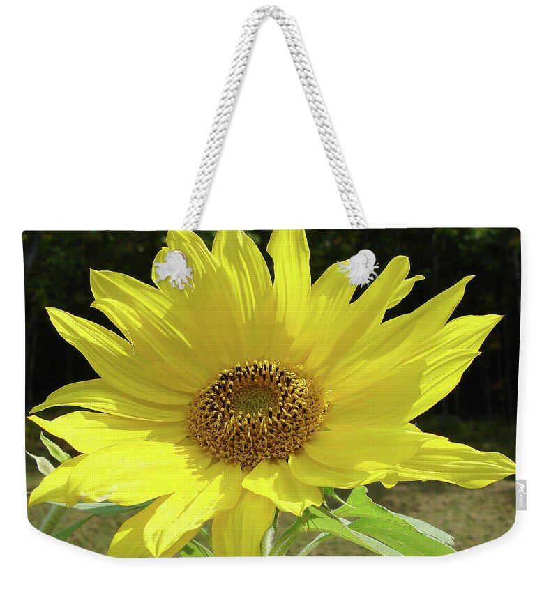 Sunflower Weekender Tote Bag featuring the photograph Sunflower 33 by Amy E Fraser