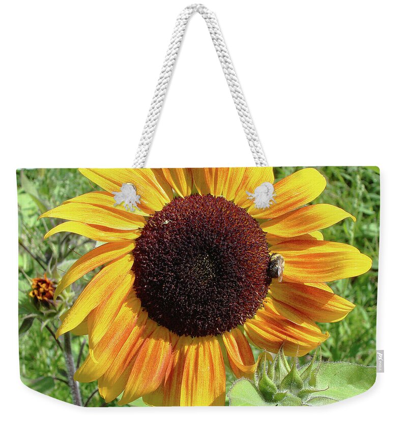 Sunflower Weekender Tote Bag featuring the photograph Sunflower 47 by Amy E Fraser
