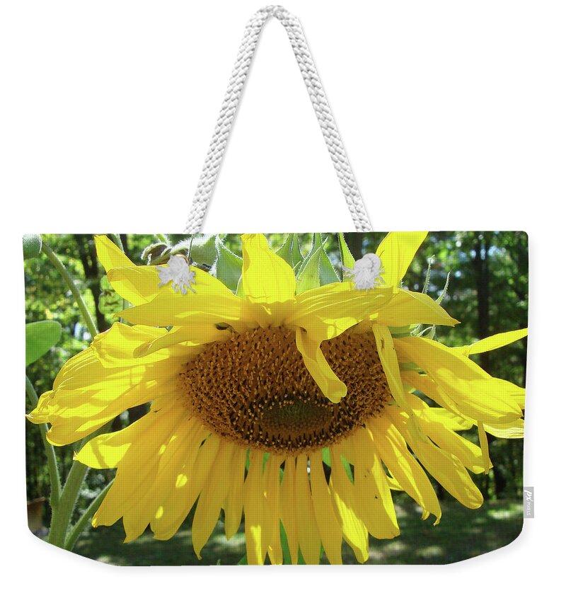 Sunflower Weekender Tote Bag featuring the photograph Sunflower 8 by Amy E Fraser