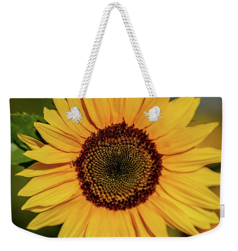 Nature Weekender Tote Bag featuring the photograph Sunflower Closeup by Douglas Wielfaert