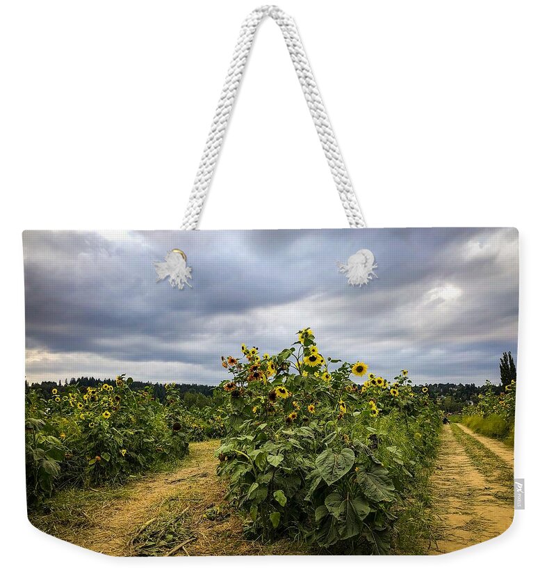 Flower Weekender Tote Bag featuring the photograph Sunflower Farm by Anamar Pictures