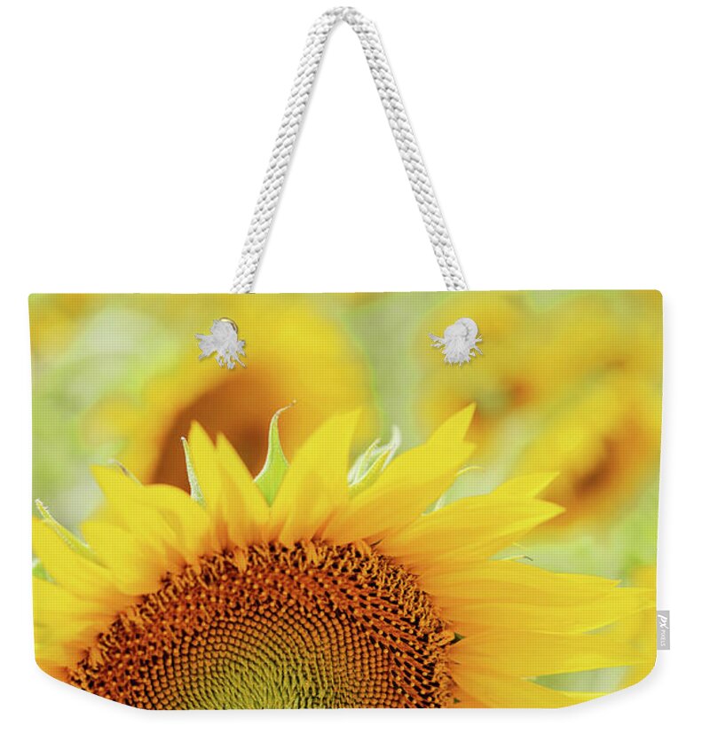 Petal Weekender Tote Bag featuring the photograph Sunflower In Field by Dhmig Photography