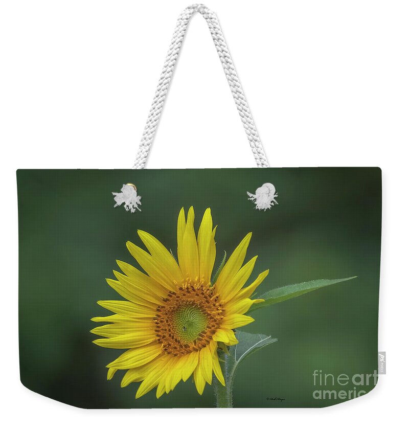 Sunflowers Weekender Tote Bag featuring the photograph Sunflower Peaking and Visitor by DB Hayes