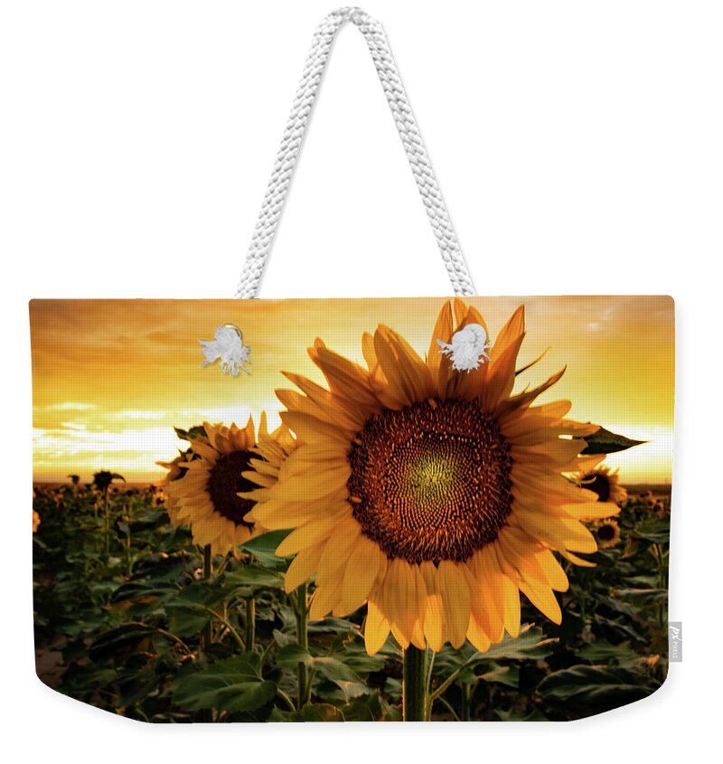 Sunflower Weekender Tote Bag featuring the photograph Sunflower Sunset by Kevin Schwalbe