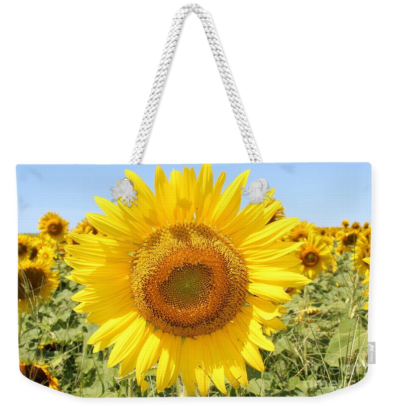 Sunflower Sunshine Ii Weekender Tote Bag featuring the photograph Sunflower Sunshine II by Barbra Telfer