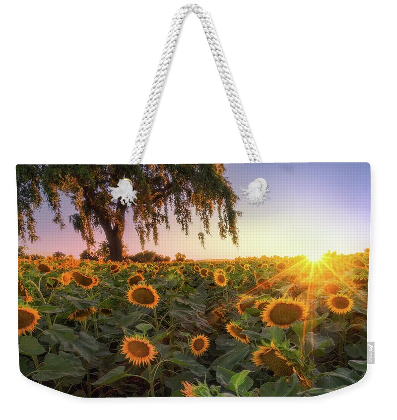 Landscape Weekender Tote Bag featuring the photograph Sunflowers and a Burst by Laura Macky