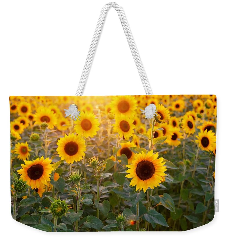Flower Weekender Tote Bag featuring the photograph Sunflowers field by Top Wallpapers
