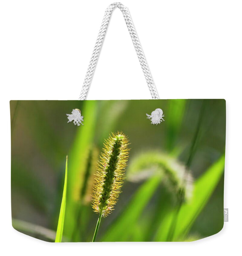 Green Weekender Tote Bag featuring the photograph Sunlit Grass by Christina Rollo