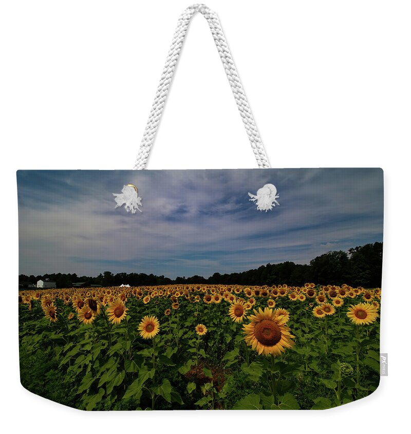 Sunflowers Weekender Tote Bag featuring the photograph Sunny Faces in New Hampshire by Jeff Folger