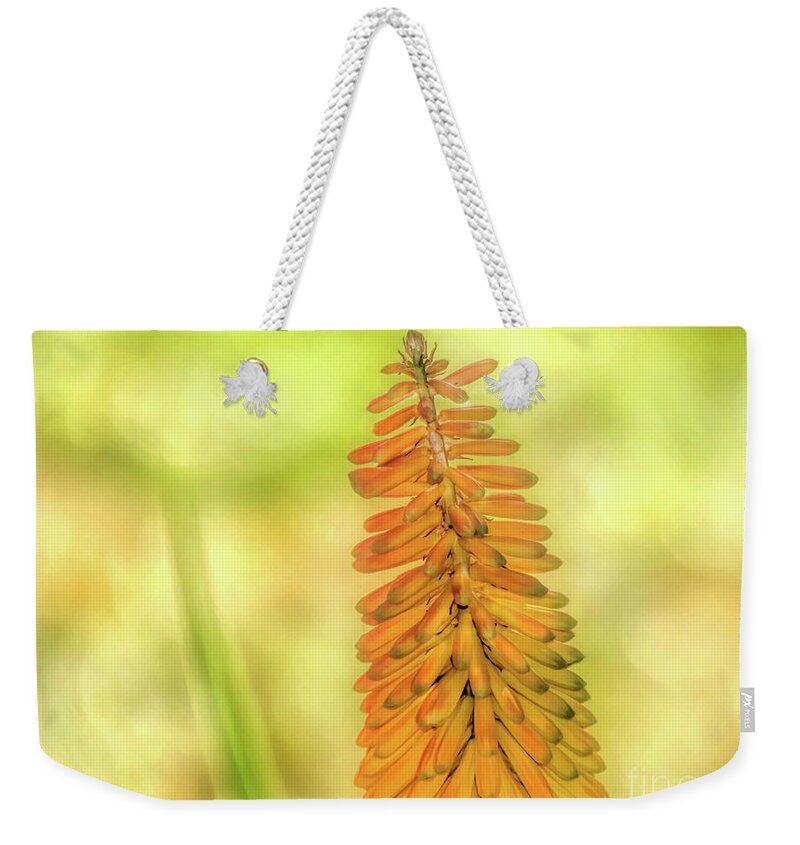 Orange Weekender Tote Bag featuring the photograph Sunny Orange Poker Flower by Amy Dundon