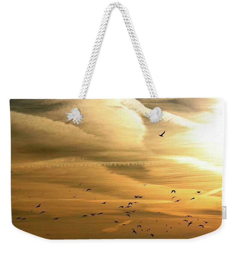 Scenics Weekender Tote Bag featuring the photograph Sunrise Birds by Micheldenijs