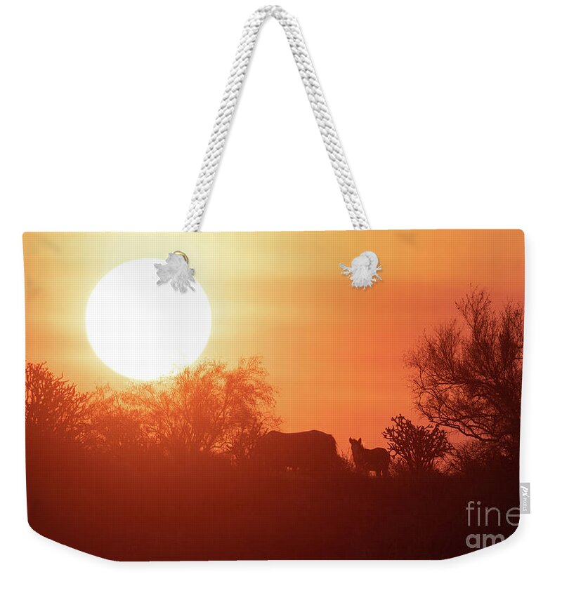 Foal Weekender Tote Bag featuring the photograph Sunrise by Shannon Hastings